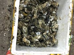 -蚝哥花姐湛江烤生蚝(美丽湾市场店)