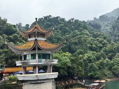 -鼎湖山风景区