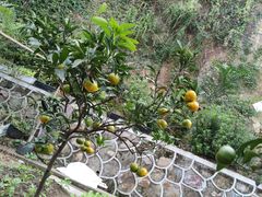 -东钱湖旅游度假区