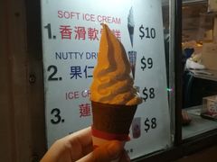 -富豪雪糕车流动点(尖沙咀店)