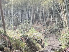 -会稽山峡洞漂流-上青古道