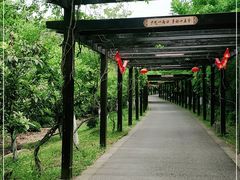 -九龙潭景区