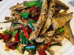香煎金鞭溪小鱼-印象鲵宴·张家界地标美食名片(溪布街店)