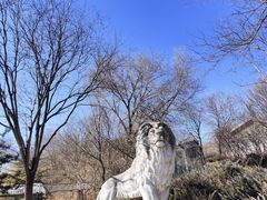 -石家庄市动物园