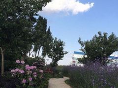 -名花谷生态庄园