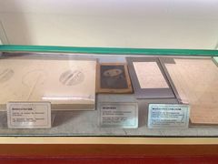 -上海佘山国家森林公园西佘山园