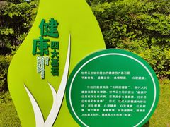 -空港花田景区