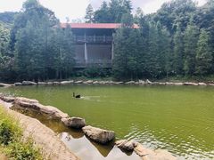 -广州市帽峰山景区