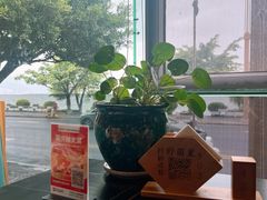 -野菌皇海景野生菌火锅(滨海大道店)