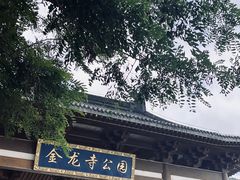 -金龙寺国家森林公园
