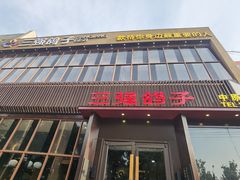 -三强鸽子(中原路店)