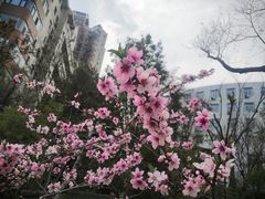 -迎泽公园