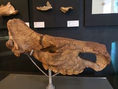 -北京周口店北京人遗址博物馆