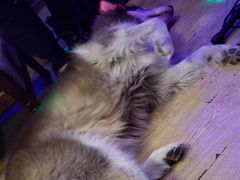 -故事小酒馆