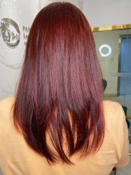 -潘多拉Hairsalon