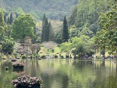 -深圳仙湖植物园