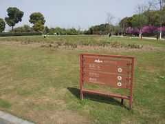 -九里河湿地公园