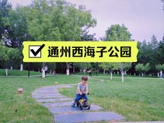 -西海子公园