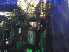 -横店影视城梦幻谷园区