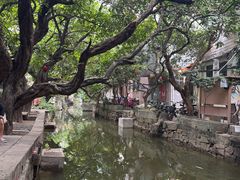 -小洲村