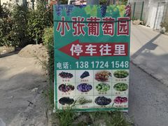 -马陆小张葡萄园农家乐