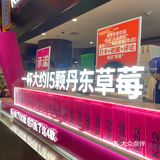 魔都奶茶|毛茸茸煤球精四兄弟