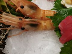 牡丹虾-割烹旭日本料理(龙湖狮山天街店)