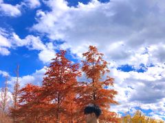 -清溪水库