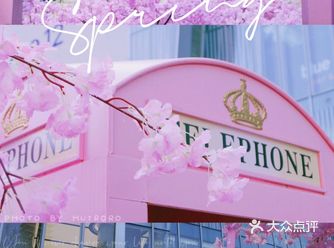 春日踏青攻略|金陵的“粉色樱花季”在金茂汇延续着…