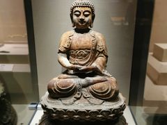 -张掖市博物馆