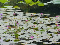 -烈士陵园(地铁站)