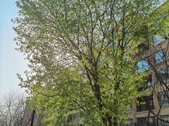 -绫罗岛海鲜私房菜(鸭绿江边店)