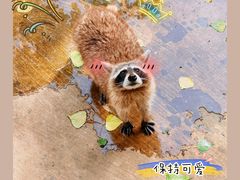 -北京野生动物园