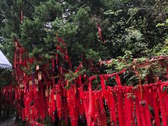 -蝴蝶泉公园