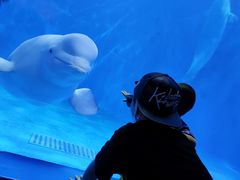 -多彩贵州城极地海洋世界