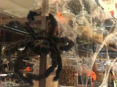 -新发展亚太JW万豪酒店·福苑咖啡厅