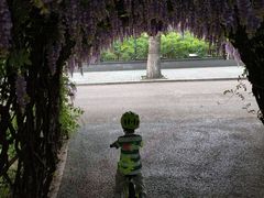 -莲花池公园