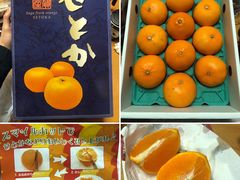 -油麻地果栏