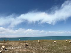 -青海湖国家重点风景名胜区