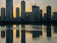 -深圳人才公园