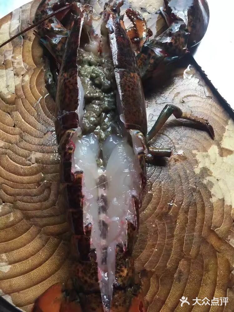 跟我一起学做菜～清蒸波士顿大龙虾🦞