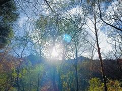 -叠溪松坪沟景区