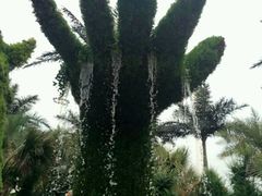 android_upload_pic-上海玛雅海滩水公园