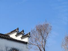 -东梓关景区村庄