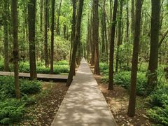 -同里国家湿地公园