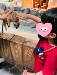 -Zoolung Zoolung动物主题公园(海信广场店)