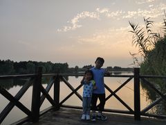 -合肥滨湖国家森林公园