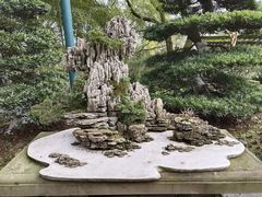 -南山植物园