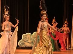 -金东尼人妖秀