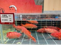 -阿毛饭店首店·宁波老字号(文化广场店)